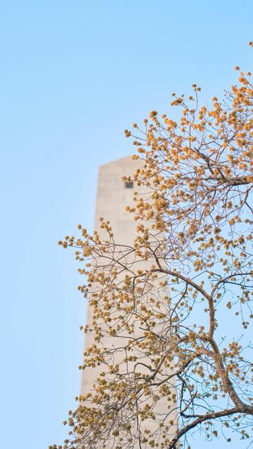 Monumento de Bunker Hill