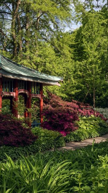 Giardino botanico di Berlino