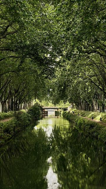 Canale del Midi