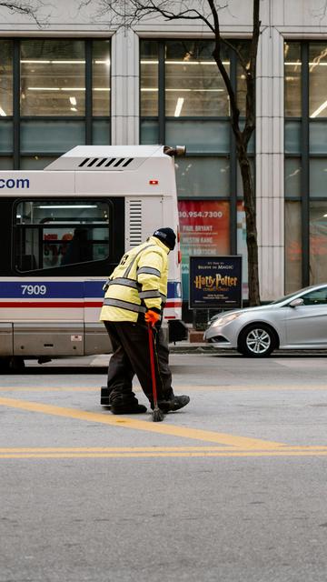 Lévrier de Chicago