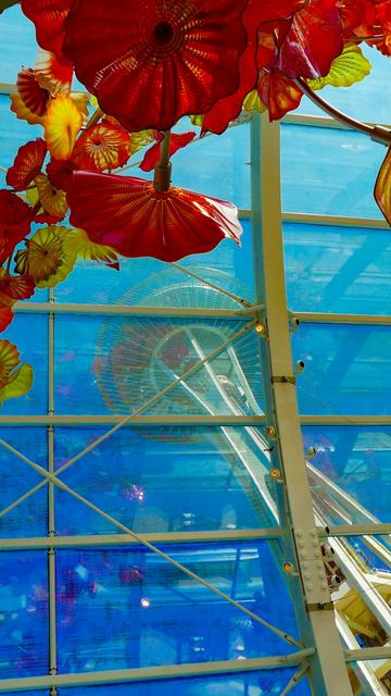 Jardin et verre de Chihuly