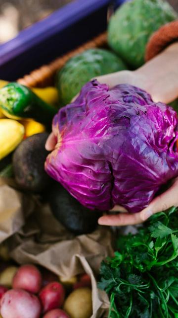 Edinburgh Farmers Market