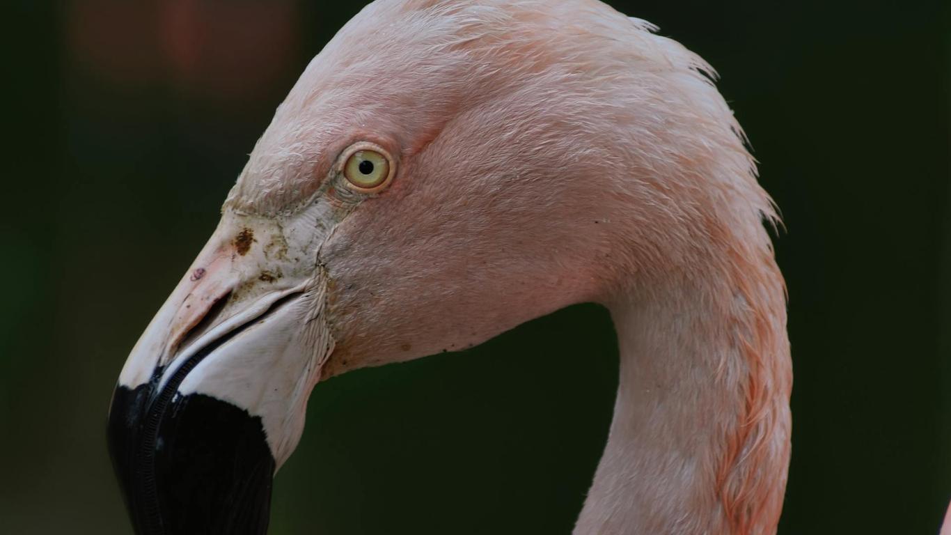 Всемирная сеть камер хранения