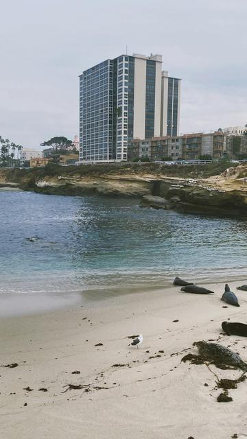 La Jolla Cove