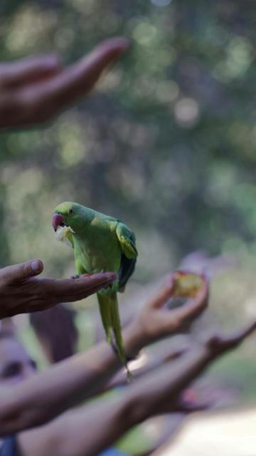 Zoo di Londra