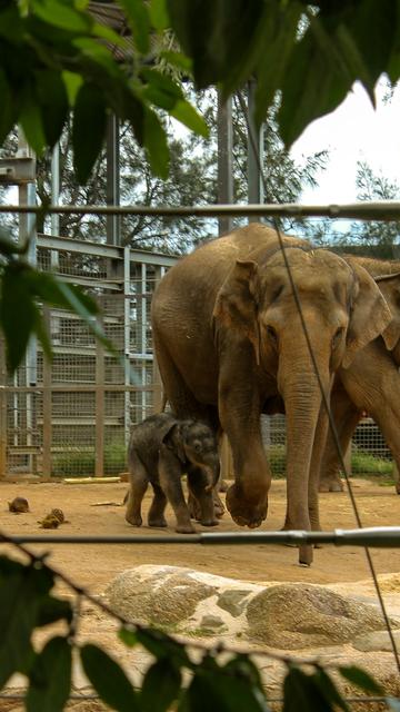 Dierentuin van Melbourne