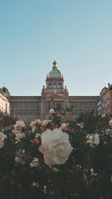 Mucha Museum