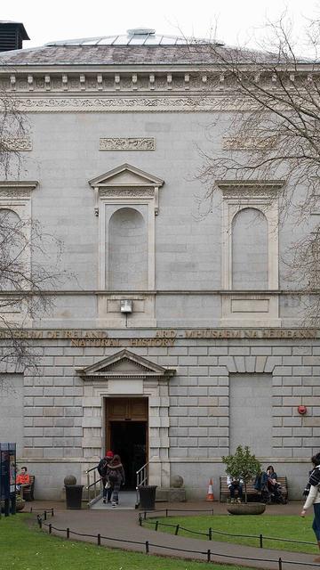 Museu Nacional da Irlanda - História Natural