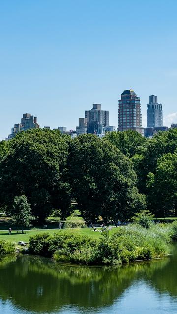 Centraal Park