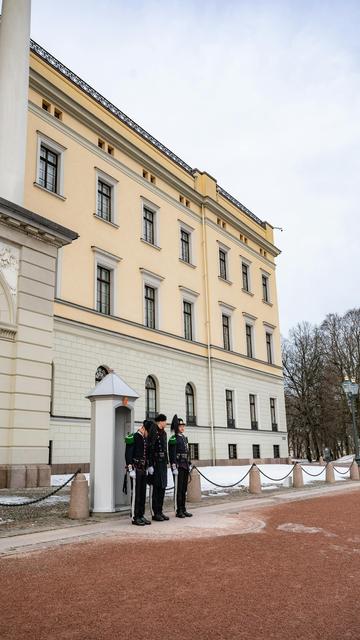 Det kongelige slott