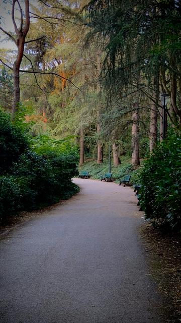 Parc de la Bouconne