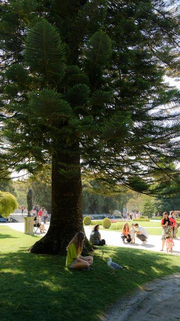 Parque Lissabon