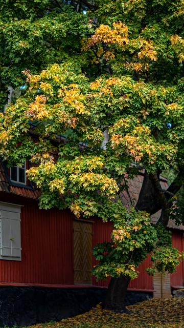 Södermalm