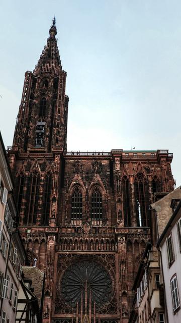 Katedra w Strasburgu