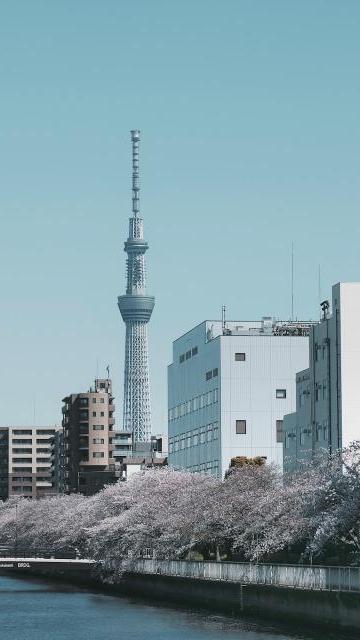 东京国立博物馆