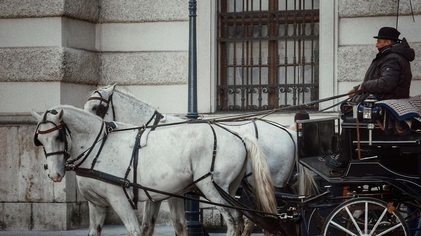 Verdens netværk for bagageopbevaring