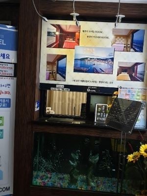 Luggage Storage Song Marine Cable Car