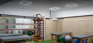 荷物預かりフエンテデシベレス