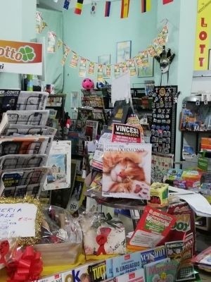Depósito de bagagem Centro de Viareggio