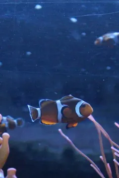 布萊頓海洋生物館 luggage storage