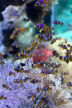 Rhodes Aquarium luggage storage