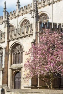 Oxford University luggage storage
