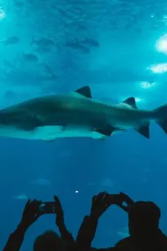 西雅圖水族館 luggage storage