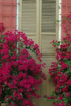 Garden District luggage storage