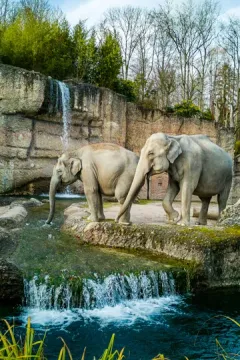 Zoo Zurich luggage storage