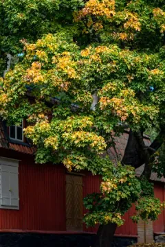 Södermalm luggage storage